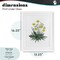 Stupell Industries Dandelion Flower Illustration Framed Print Under Glass, design by Cecilia Battaini